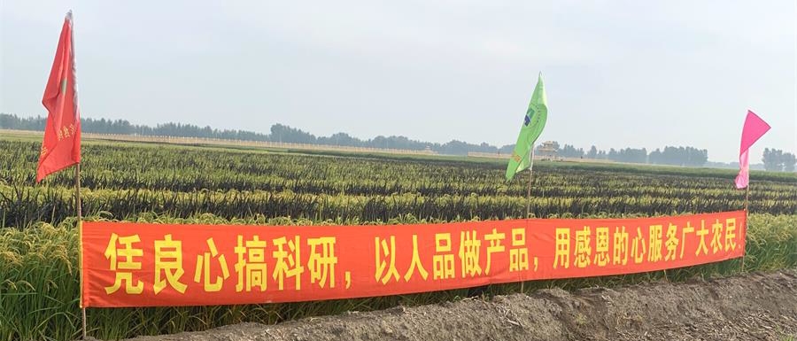 微信圖片_2020091714313311_看圖王.jpg
